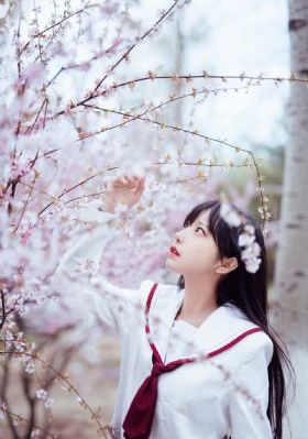 中文日韩欧美_蓝光高清全集免费观看